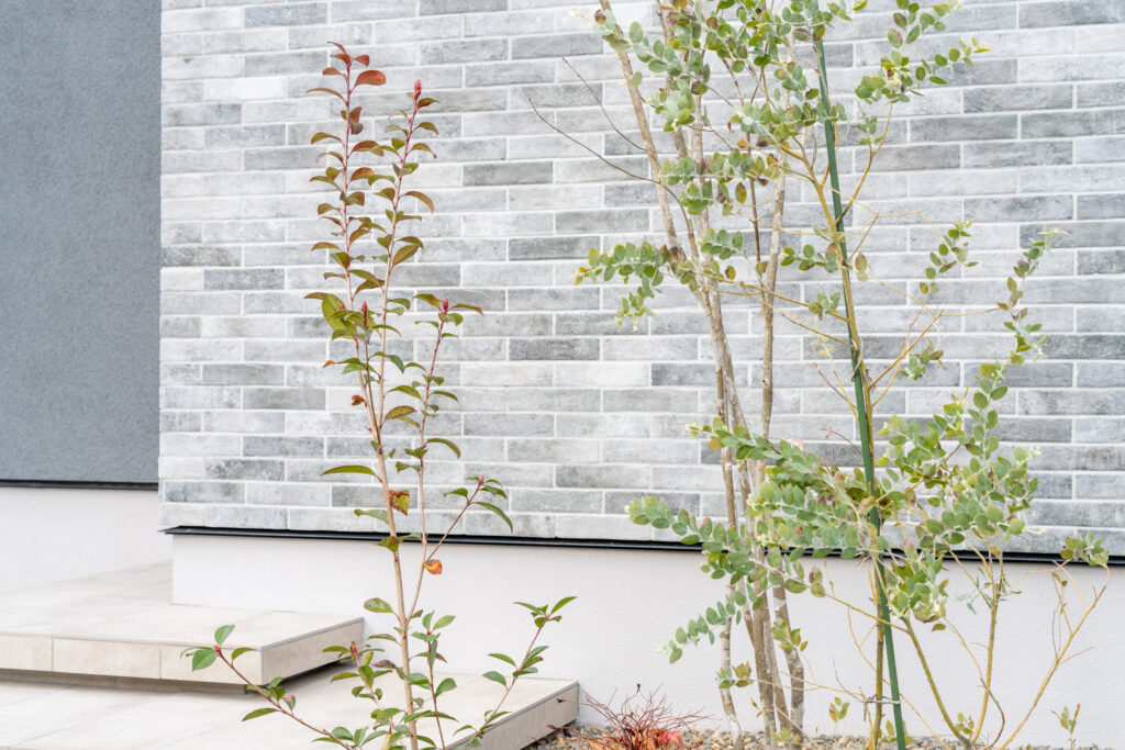 陰影と抜けを重ねた、奥行きを感じる住まい